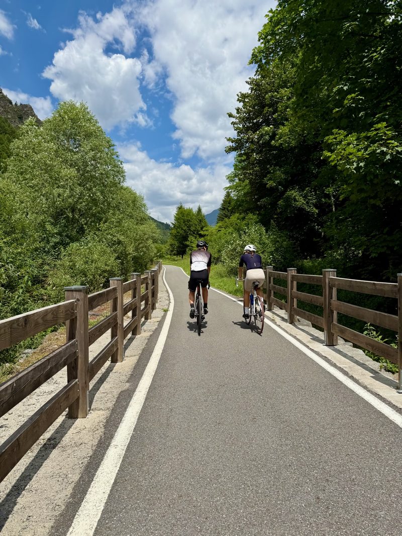 Two cyclists riding a paved path lined with trees and wooden fences